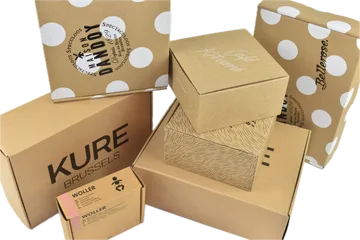 Livraison express Boîtes en Zwijnaarde BE